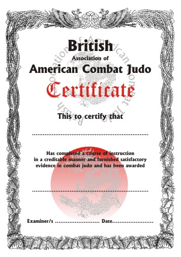 Judo Certificate