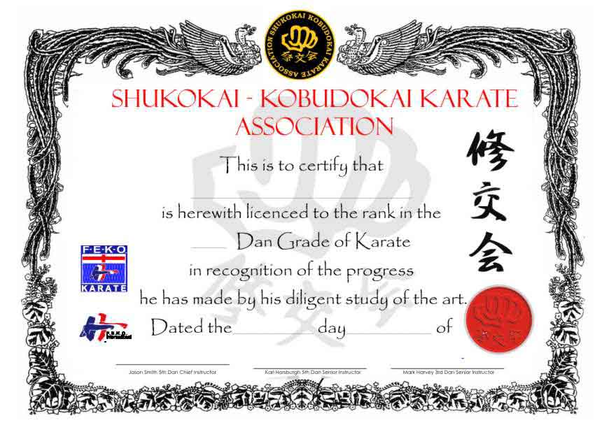 Custom Martial Arts Certificate A3
